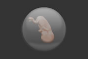 Babystrology - Baby Countdown Pregnancy Ticker